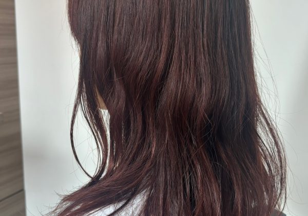 レッドブラウン【寺田】