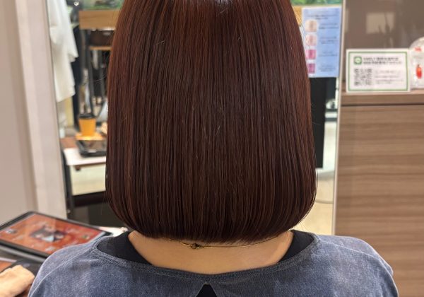 暖色ブラウン【寺田】