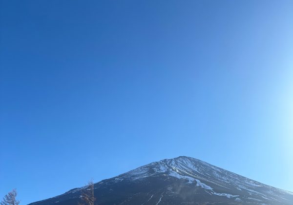 富士山【寺田】