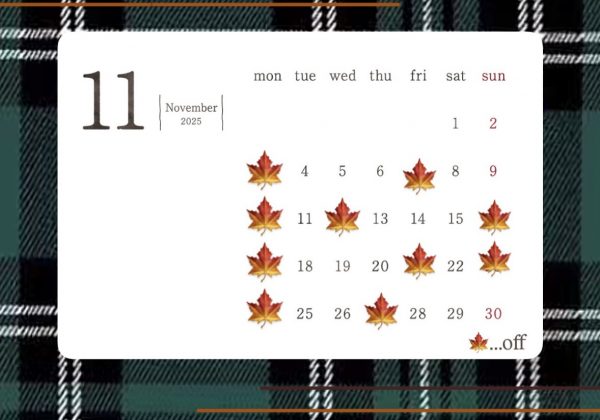 11月出勤日【寺田】