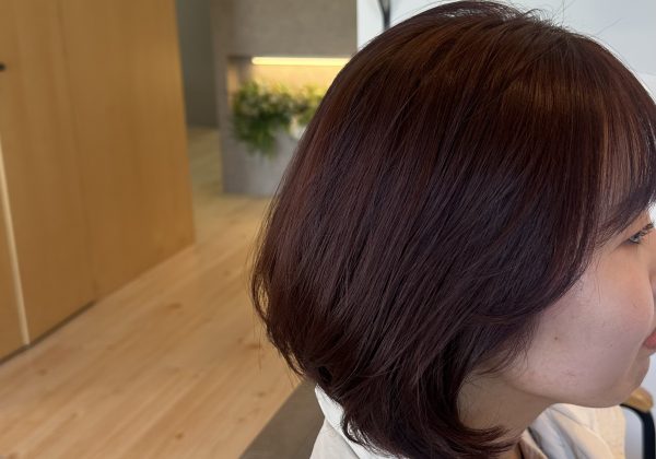 春先取り！！ほんのりチェリーブラウン