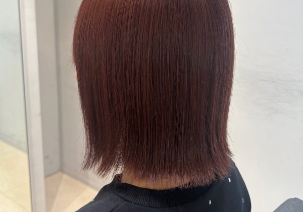 春カラー【寺田】